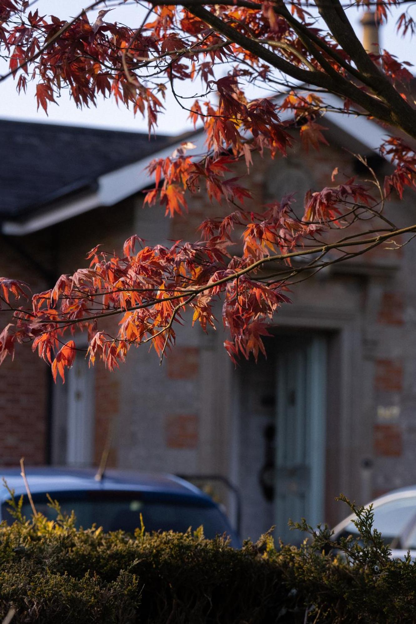 Oranmore Ballymena Eksteriør bilde